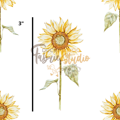 Sunflower - Wholesale (MOQ 10m)